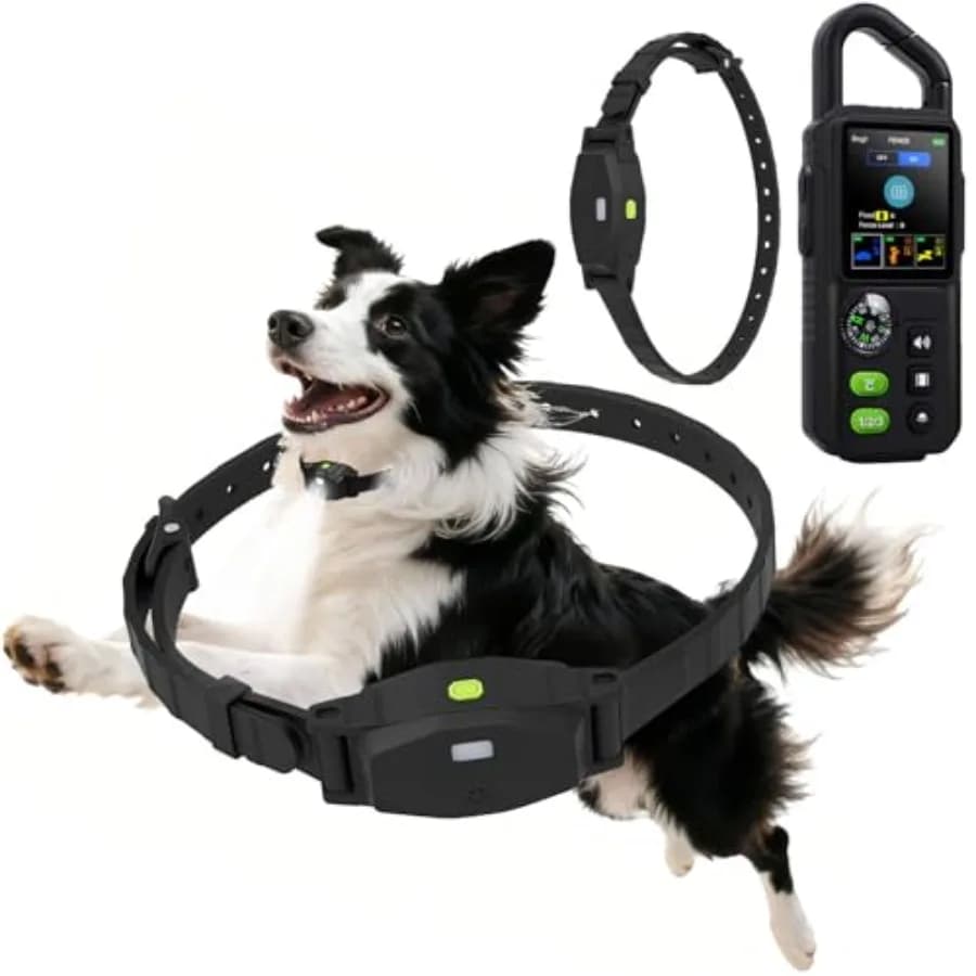 Collare Perimetrale Regolabile per 3 Cani, Collare da Addestramento Portatile Impermeabile Ricaricabile in Nylon Nero con Fibbia a Sgancio Rapido