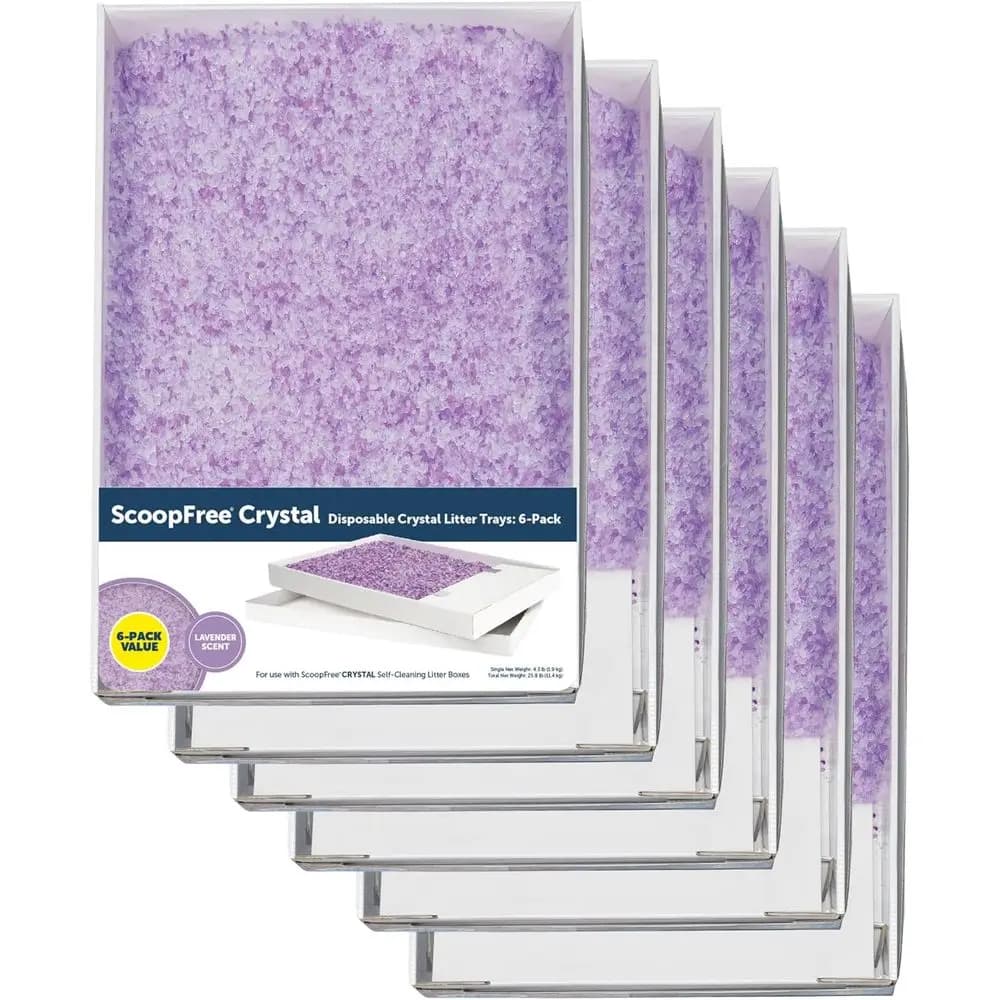 Scoopree Lettiera per Gatti in Cristallo Usa e Getta - Box Facile da Pulire - Per Lettiera Riutilizzabile o Automatica - Profumo Lavanda 4.3 lb B