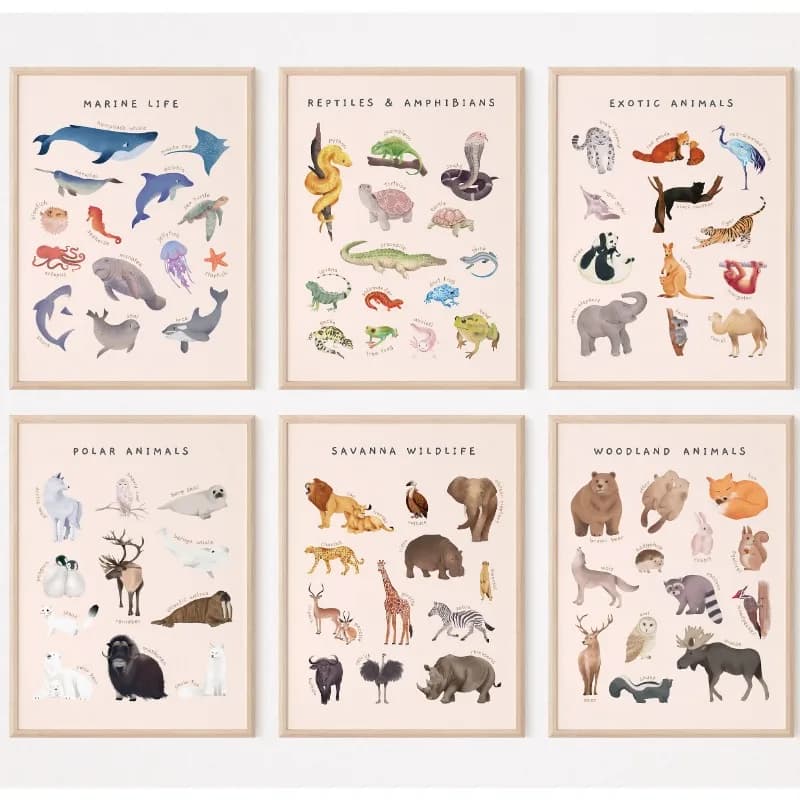 (2D Canvas Painting) Animal Kingdom Watercolor Educational Cat Dog Bird Insect Breeds Canvas Painting Nursery Wall Art Montes