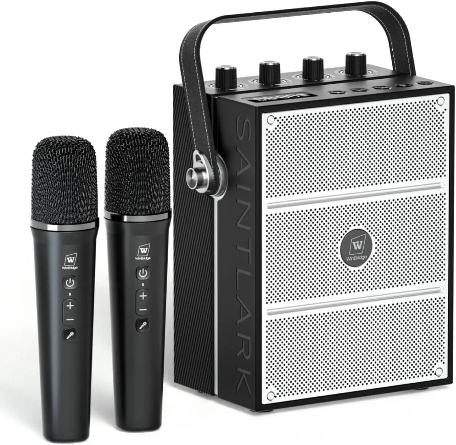 Altoparlante Bluetooth Portatile da 100W con 2 Microfoni Wireless, Sistema PA per Karaoke, Supporto BT/USB/TF/Aux/Chitarra