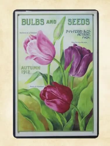 metal wall decor bulbs seeds flower packet metal tin sign sign