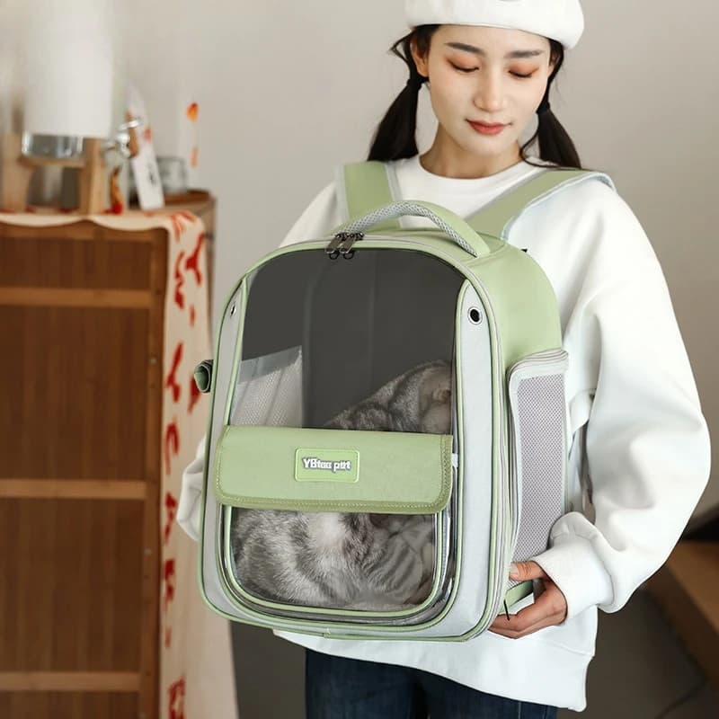 Extra Large Clear Cat Backpack Carrier, Portable Pet Travel Bag for Dogs & Cats, Transparent Space Capsule Puppy Kit
