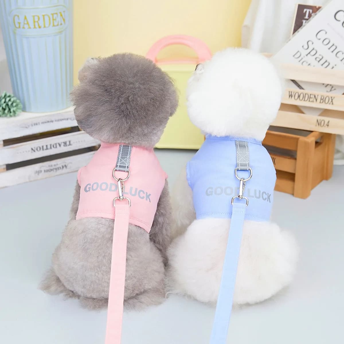 Guinzaglio per gilet da passeggio per cani di taglia media e piccola Guinzaglio per cani Guinzaglio per cani con catena per cani di peluche Guinzaglio per petto e schiena per gatti