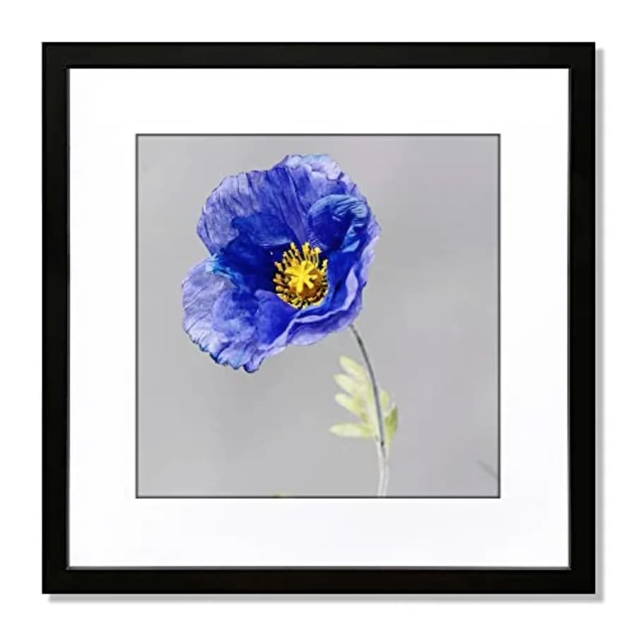 Black Frame 24x24 Perfect for Photo 24x24 Passepartout Inch or Photo 20x20 Inch with Passepartout Wall Decoration for Home - 1 Piece