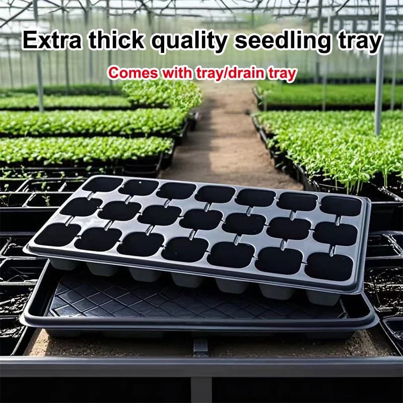 Set of 10 Plastic Trays for Semina, Efficient Germination, Ideal for Seeds and Vegetables