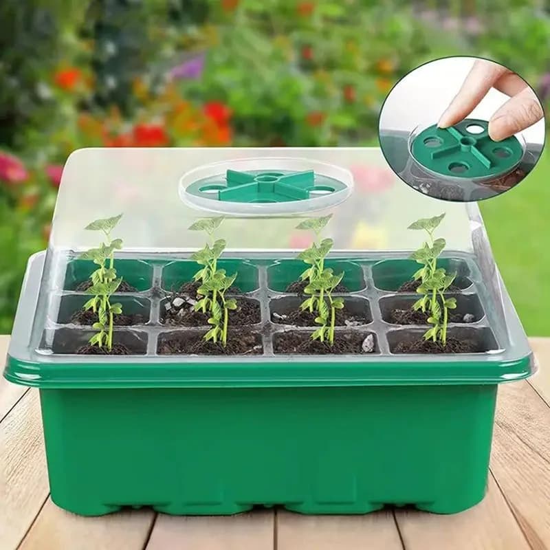 Tray for seedlings isolated with box for seedlings plastic 12 wells