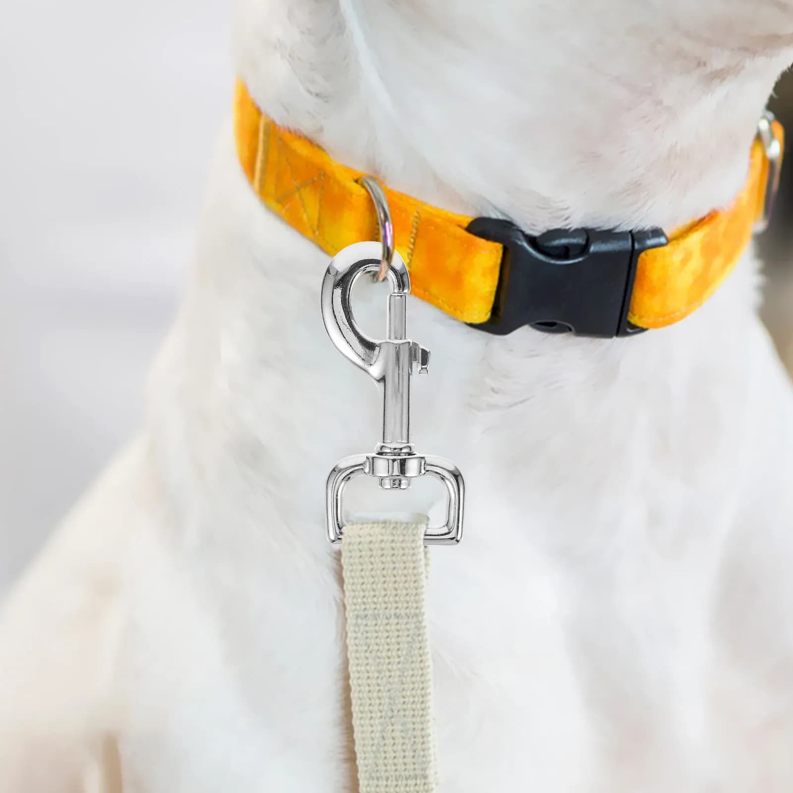 2 Pezzi Moschettone Girevole Robusto in Acciaio Inossidabile per Guinzaglio Cane, Collare, Cinghia Bagaglio, Fibbia a Sgancio Rapido