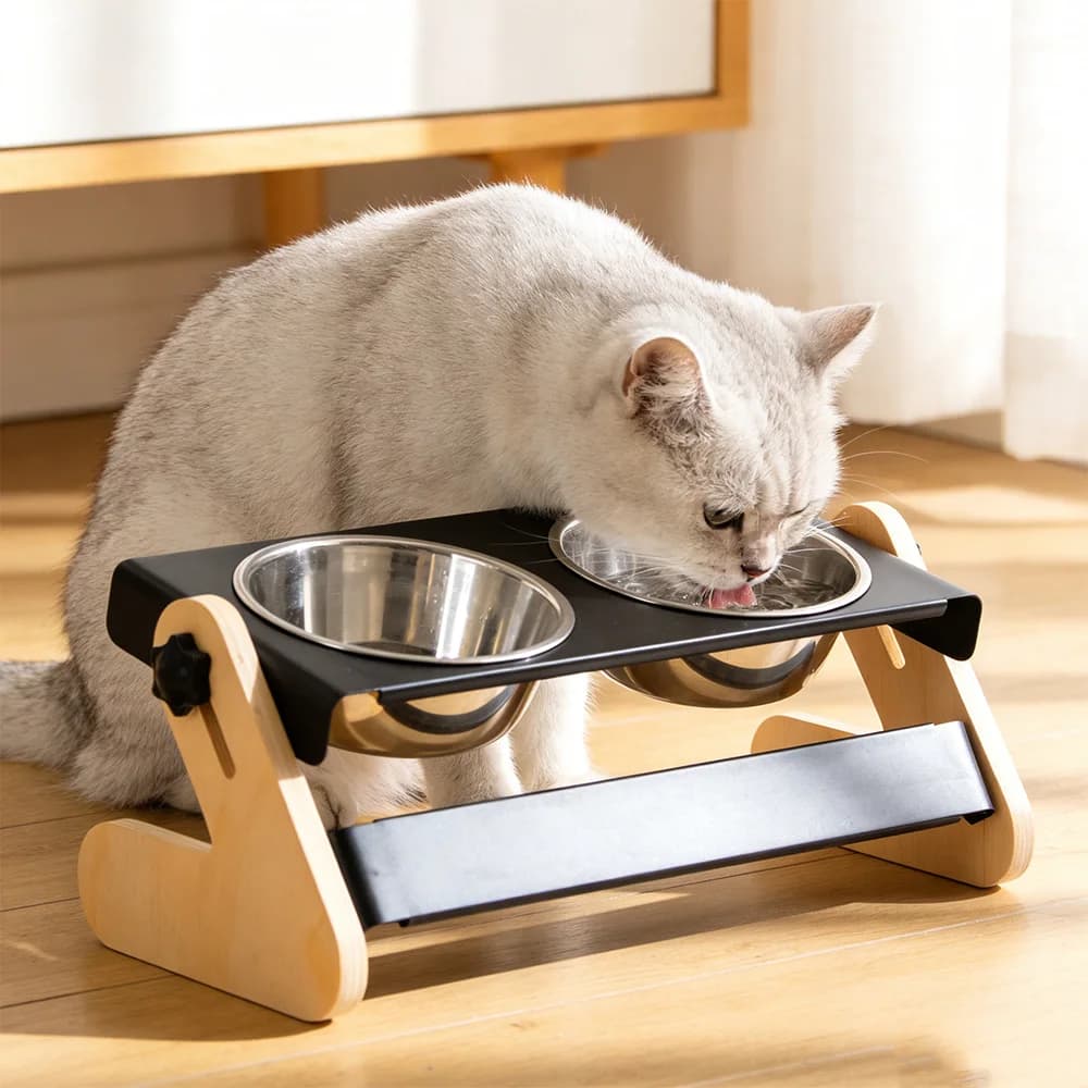 Adjustable Elevated Dog Cat Bowls 2 Stainless Steel Food Water Bowls with Non-Slip Stand Raised Feeder for Small Medium Pets