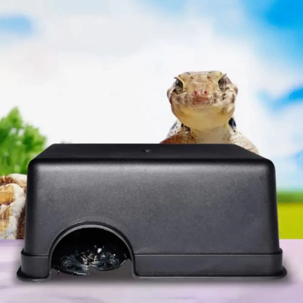 Piccoli rettili Animali domestici Giocattoli Gecko Snake Shelter Casa Cibo Ciotola d'acqua Grotta Scatola da arrampicata Piccolo animale Hideaway Pet Supplie Accessorio