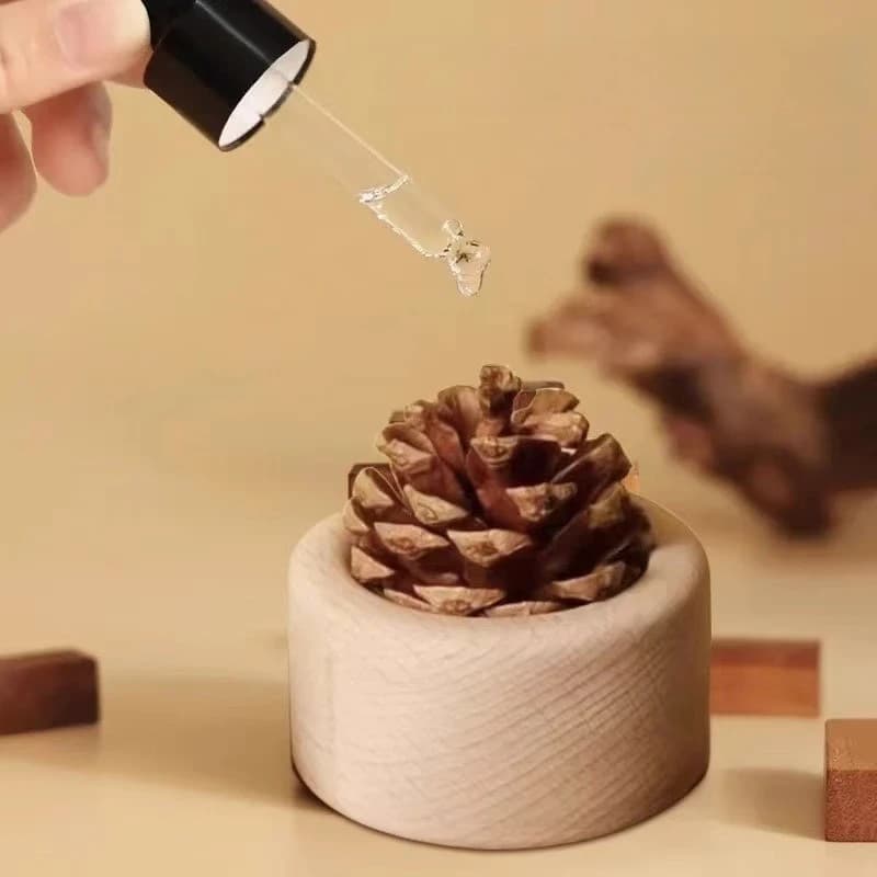 Wooden Nut Diffuser for Essential Oils - Car Air Freshener Aromatherapy Decor, Natural Wood Scent Diffuser Desktop Ornament