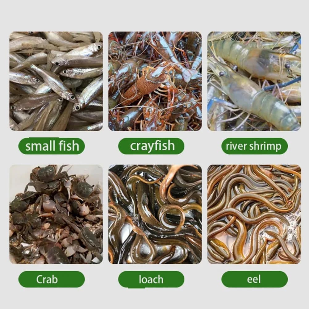 Nassa Pieghevole per la Cattura di Gamberi, Granchi, Gamberetti, Anguille e Pesci - Rete da Pesca a Maglie per la Pesca e la Cattura di Insetti