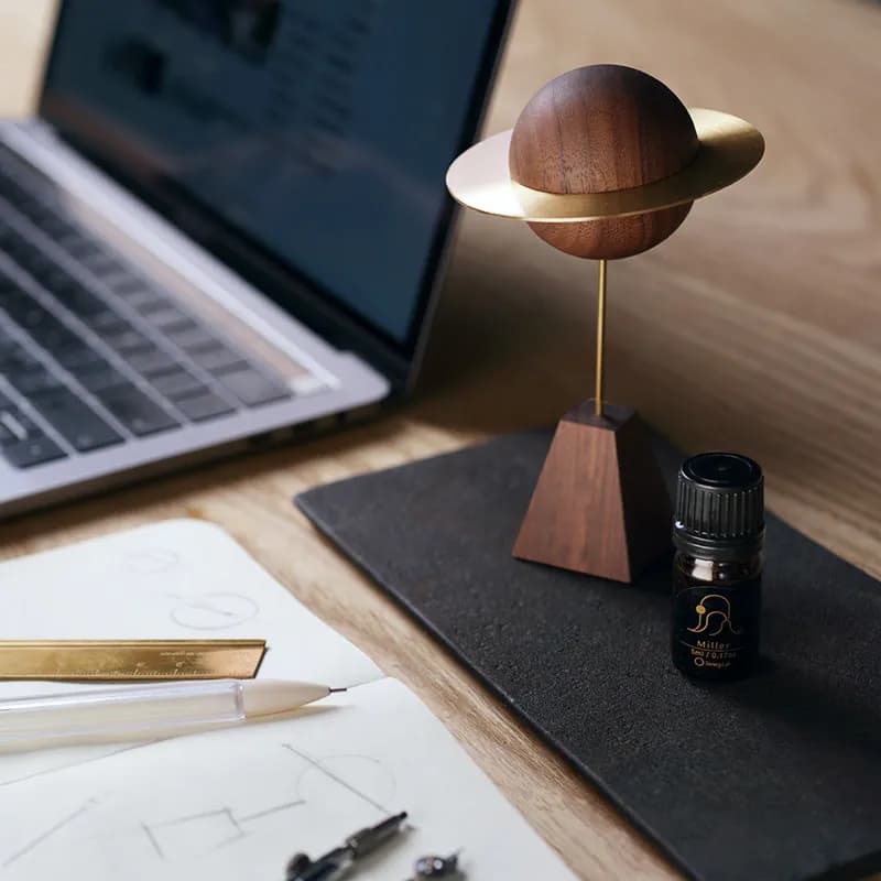 Black Walnut Aromatherapy Wood Diffuser Natural Passive Essential Oil Diffuser for Home, Car & Office Wood Ornament Gifts