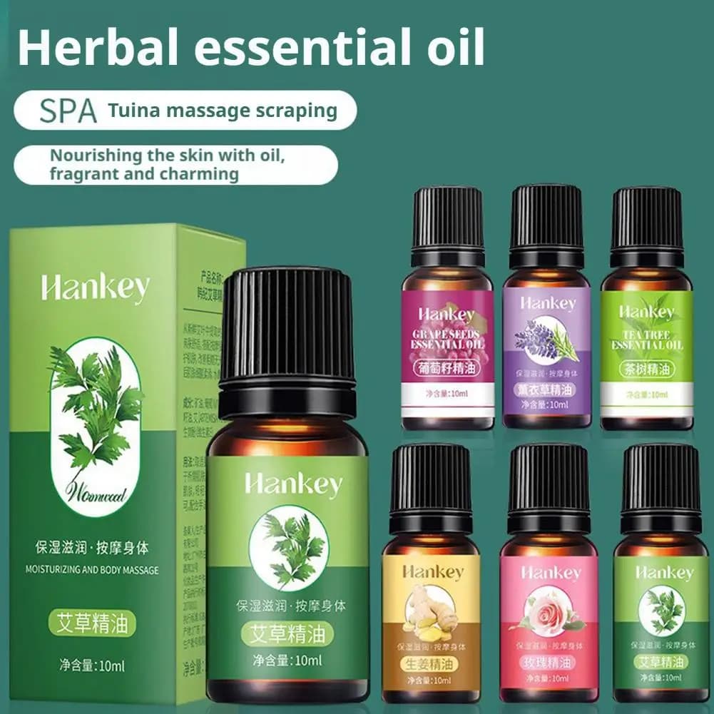 Botanical Essential Oils for Massage, Spa Home Diffuser-Lavender, Rose Jasmine And Ginger (10ml Each) for Skin And Body Care