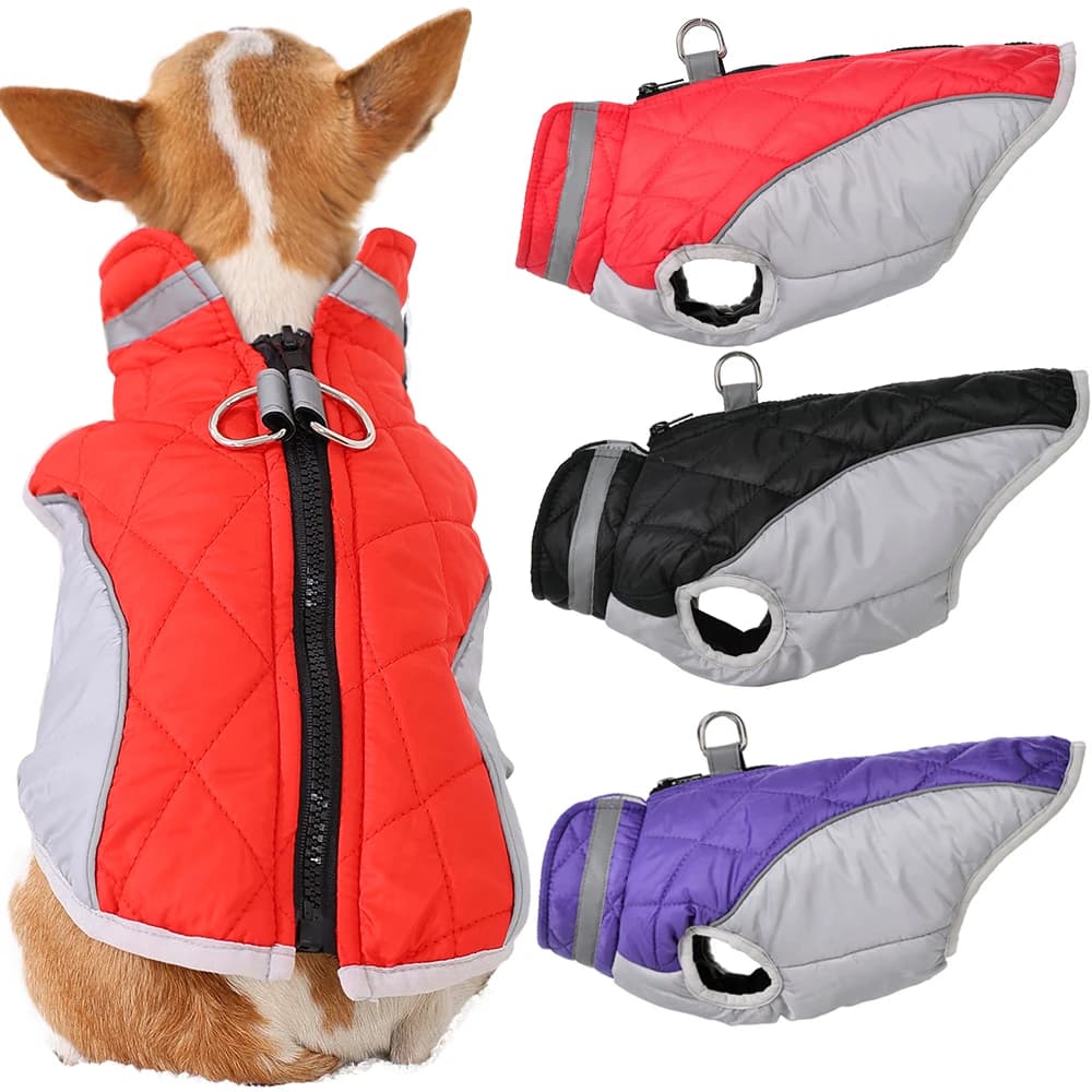 Vestiti invernali per cani Reticolo Riflessione Giacca per cuccioli Splicing D-Ring Antivento Gilet per piccoli animali domestici Cappotti per Bulldog Pug Costume per cani