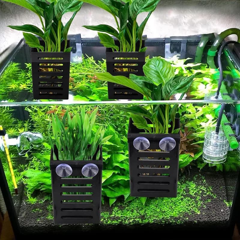 Confezione da 2 porta piante per acquario con ganci e ventose, tazze per fioriera acquatica sospese per piante decorative per acquari-A51M