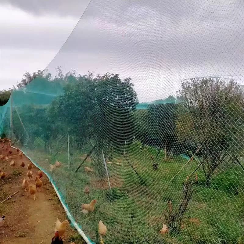Rete protettiva per recinzione per uccelli, rete protettiva per verdure da giardino, piante, uva, rete da pesca