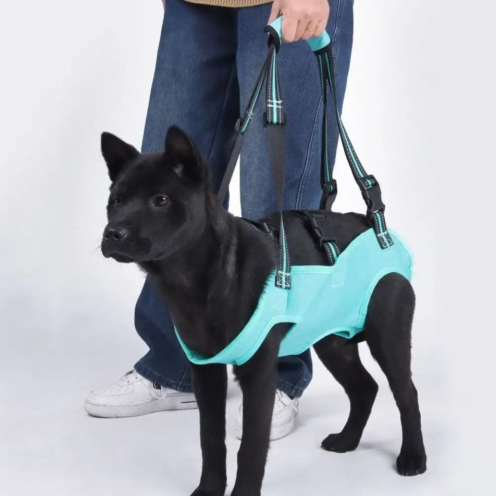 Adjustable Strap Dog Lift Harness Thicken Handle Legs Support Dog Sling Carrier Soft Lining Portable Pet Lifting Vest