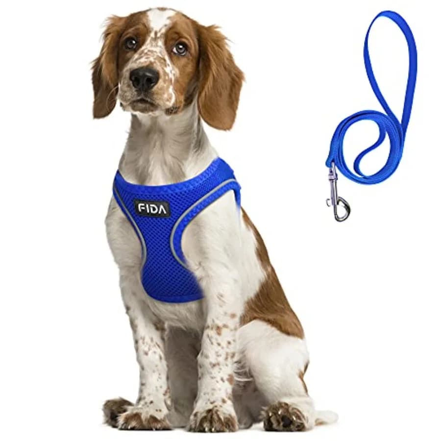 Comfy Dog Harness with Leash, Soft Puppy Vest Escape Proof, Breathable Lightweight Soft Mesh, Adjustable Reflective Step-in Har