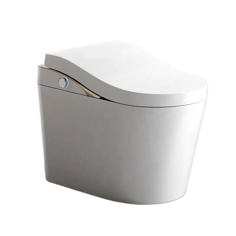High-end ergonomic smart bidet toilet gold floor-to-ceiling canned electronic ceramics smart WC with remote control