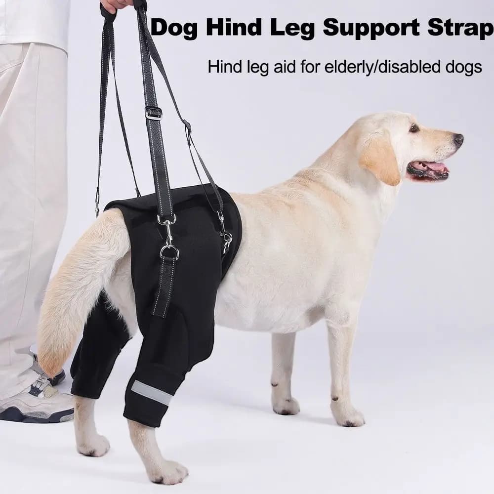Gambe Supporto per l'anca Imbracatura per sollevamento del cane Nero Strumento di assistenza per l'aiuto per animali domestici regolabile Manico robusto Striscia riflettente Cinghie di supporto per camminare