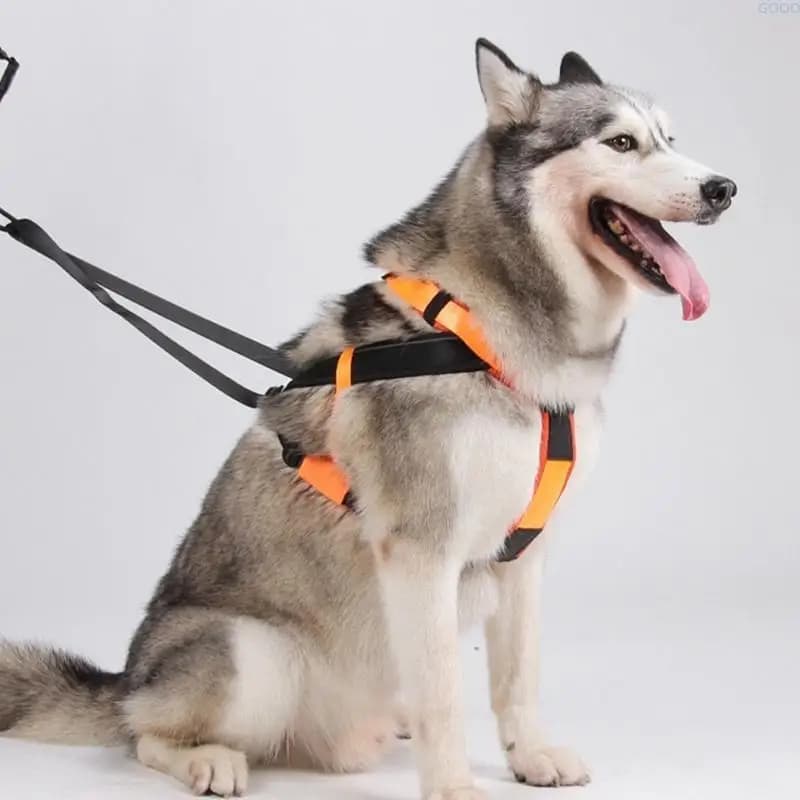 IMBARE SLED REGOLABILE 23GA per cani grossa taglia con sicurezza riflettente.