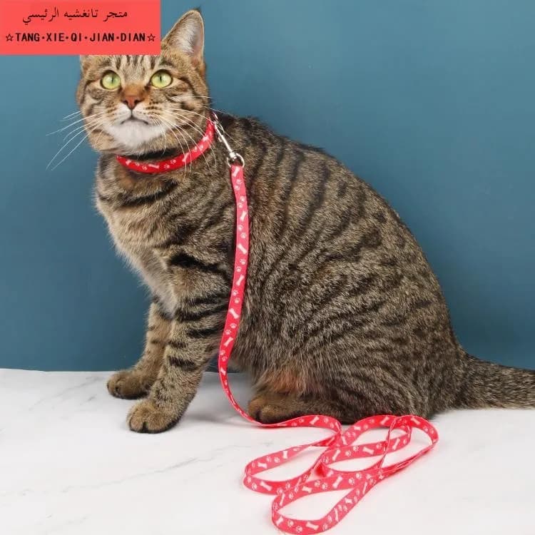 Guinzaglio con Cinturino per il Collo, Corda di Trazione per Cani, Previene la Fuga, Accessori Speciali per Guinzagli da Esterno, Articoli per Animali Domestici