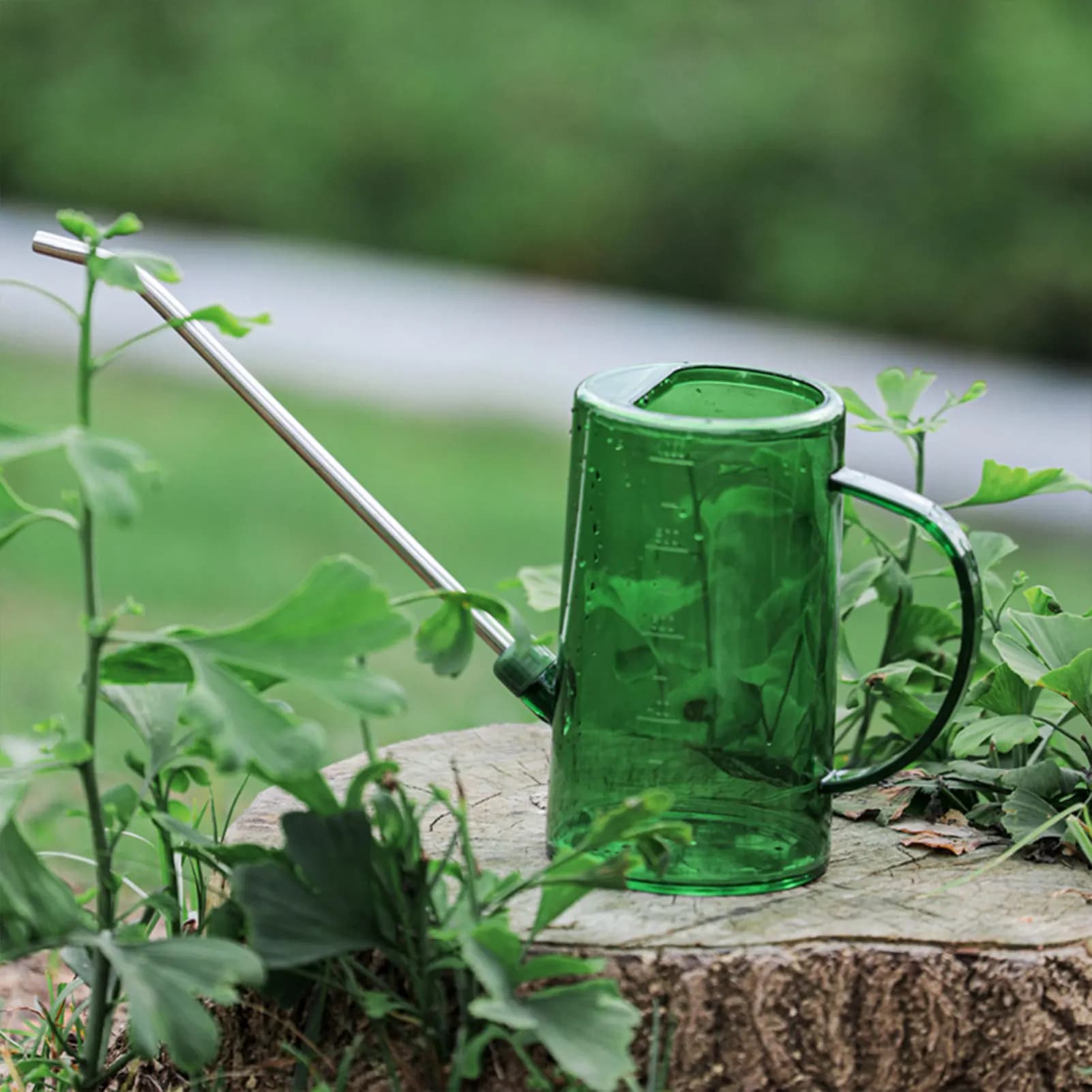 1/1.5 wide mouth Sprayer Spring Plant Germination of seeds Watering Kettle Large Capacity Flower Watermelter Gardening accessory