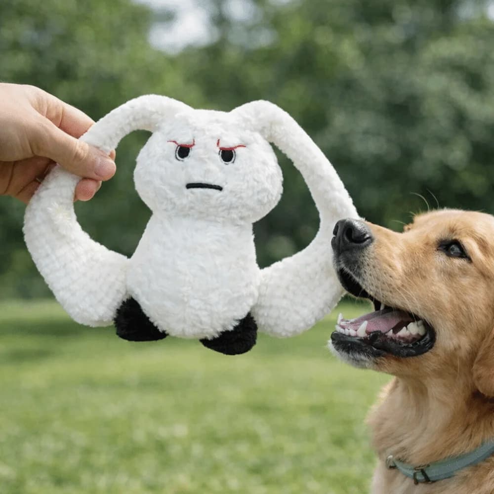 Giocattoli di Peluche a Forma di Coniglio dalle Orecchie Lunghe, Resistenti ai Morsi, per Cani, Pulizia dei Denti, Interattivi