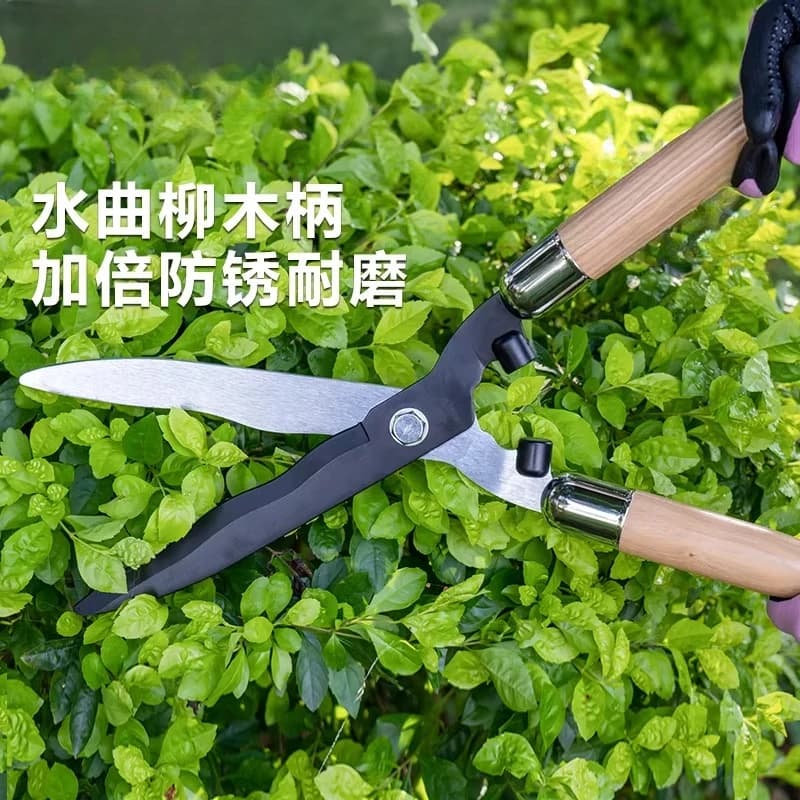 Garden Scissors, for Hedges, for Power, for Home Garden, for Green Areas, for Prato, for Fruit Trees, Large Specialized Scissors