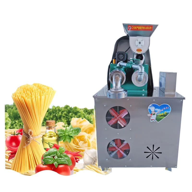 100 kg/h Macchina automatica per spaghetti macaroni ad alta efficienza per pasta Estrusore per pasta che fa stampo personalizzato