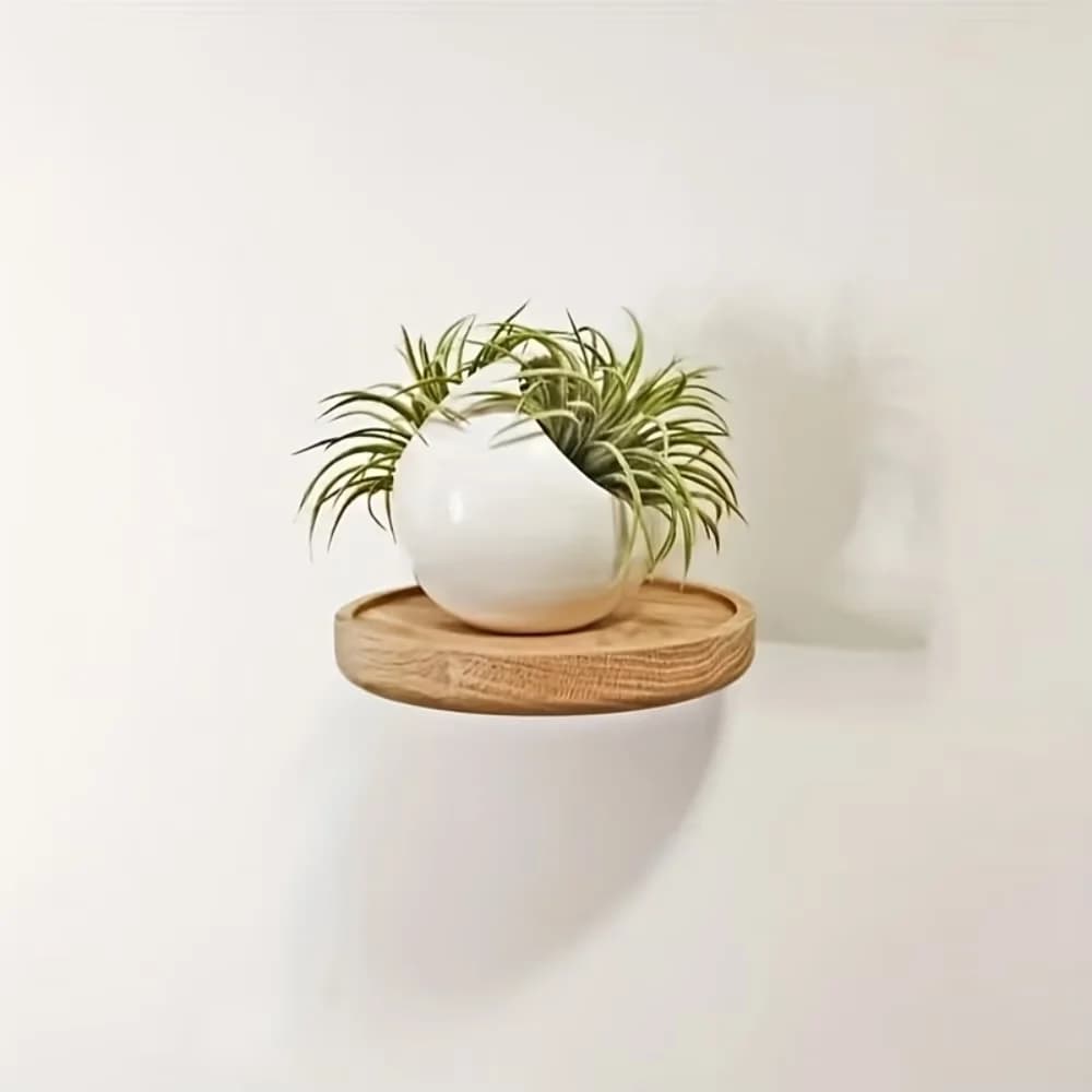 1Pc Wooden Wall Mounted Display Shelf Oak Wood Round Wall Shelves Floating Plant Flower Pot Tray Racks For Home Decoration