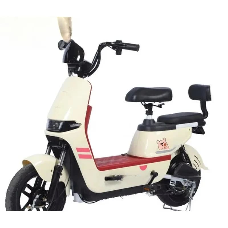 Caricabatterie Vintage per Bici Elettrica di Alta Gamma, Controller per E-Bike a 2 Ruote, Motore Elettronico Smart per Ruota Posteriore di Grande Potenza