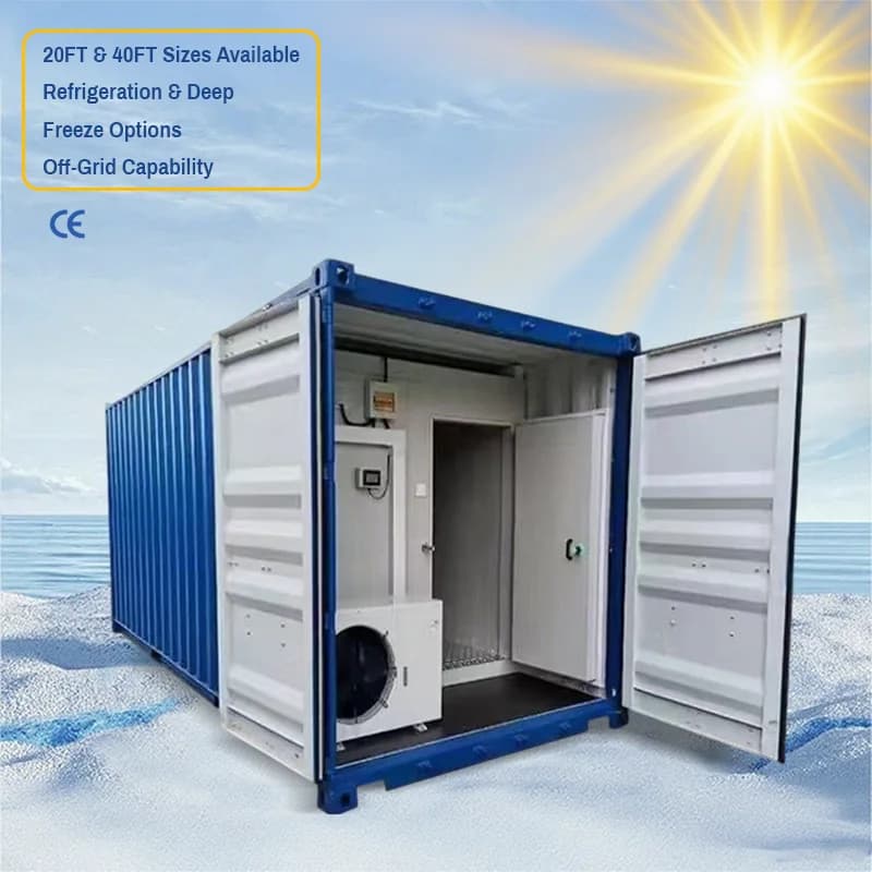 Cella Frigorifera Mobile Alimentata a Energia Solare per Container da 20 Piedi, per Refrigerazione Off-Grid e Catena del Freddo