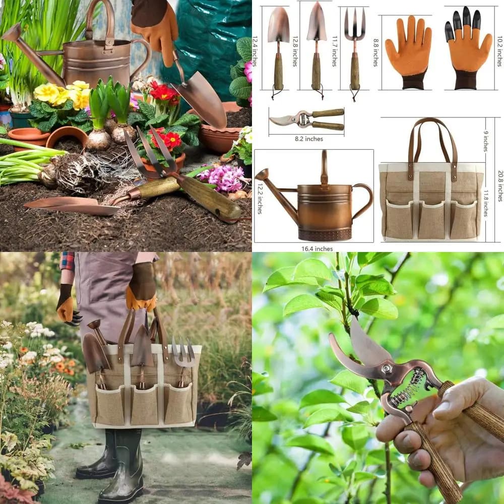1 Gallon Stainless Steel Plate with 3 Garden Tools, Power Supplies, Gloves and Organizer Bag