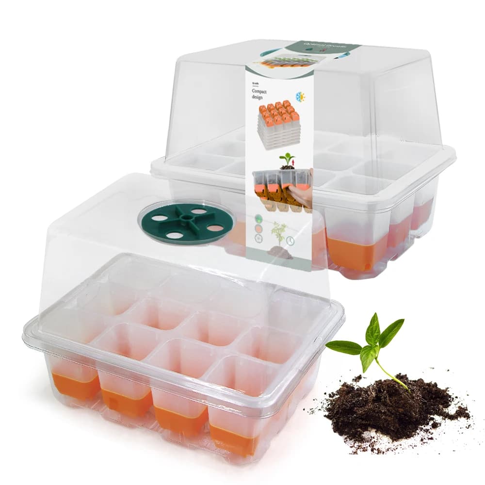 Garden vegetable growing plant nursery box Brinjaul of strawberries, tomato, seeds, germinated cultivation, seedling tray