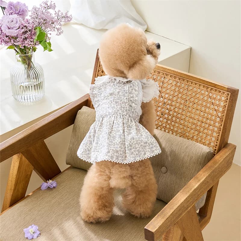 Dog Dress Lace Bow Ruffle Flutter Sleeves Dress for Small Dogs Girl Wedding Party Dress Cat Outfits Poodle Chihuahua Clothes