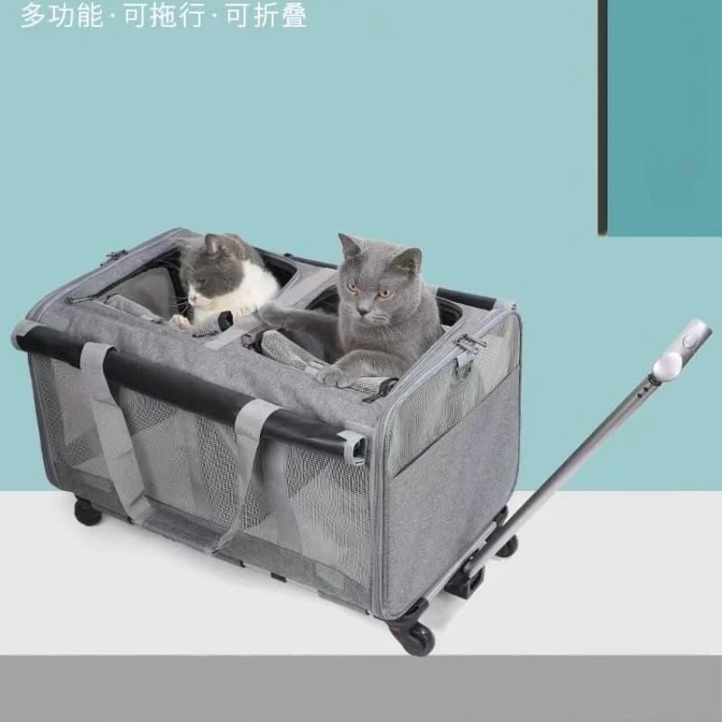 Trasportino per Animali Domestici Extra Large Portatile, Borsa Pieghevole per Cani e Gatti, Trasportino da Viaggio Traspirante