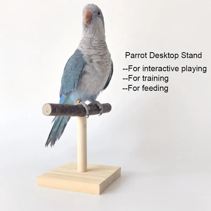 Natural table support Pet parrot Fork in raw wood Copper of a tree Stand Rack Squirrel Bird Criceto Ramo Perchi Chewing Morso Toys Stick