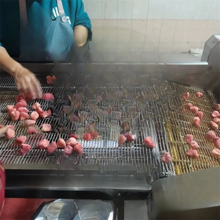 Macchina automatica per la produzione di zucchero di fragole liofilizzate, macchina per la zuccheratura a goccia, macchina per l'incartamento di frutta liofilizzata in zucchero