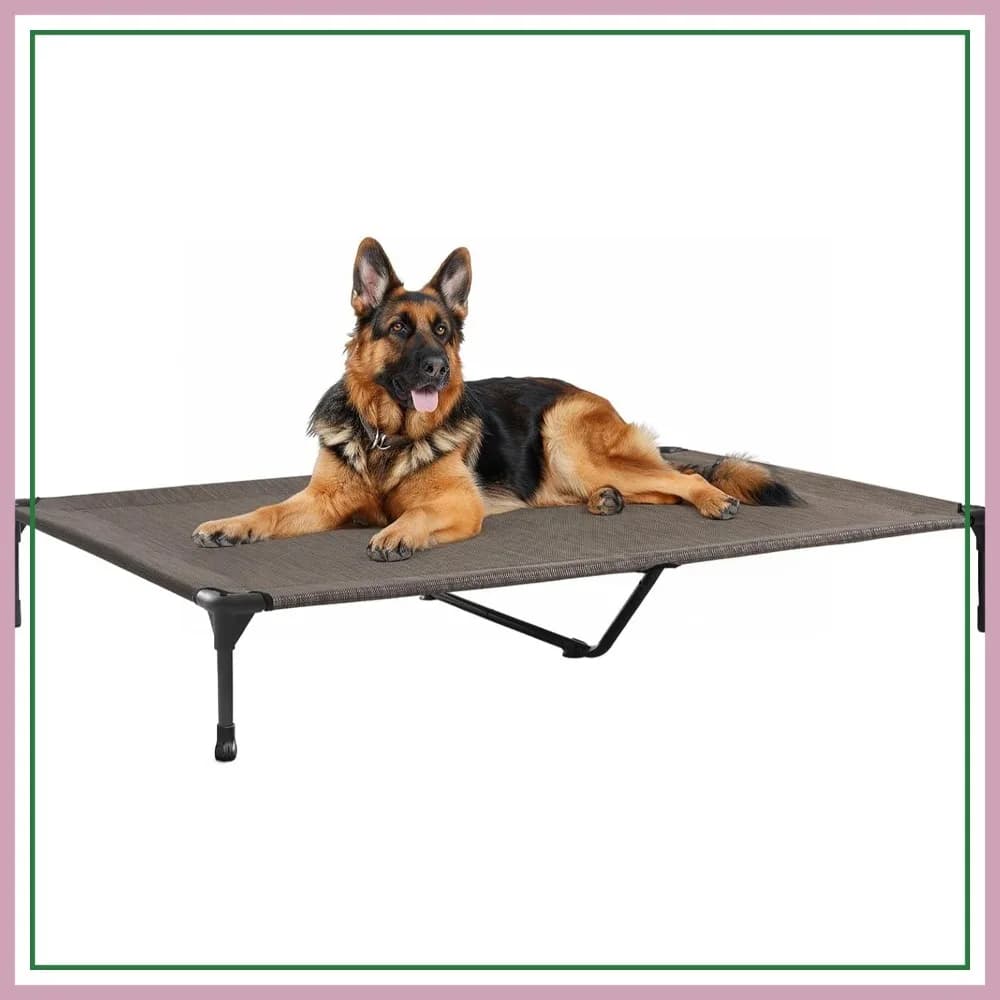 Cuccia rialzata per cani di taglia grande, lettino rinfrescante XL con rete traspirante, piedini antiscivolo, 49"x33", Marrone