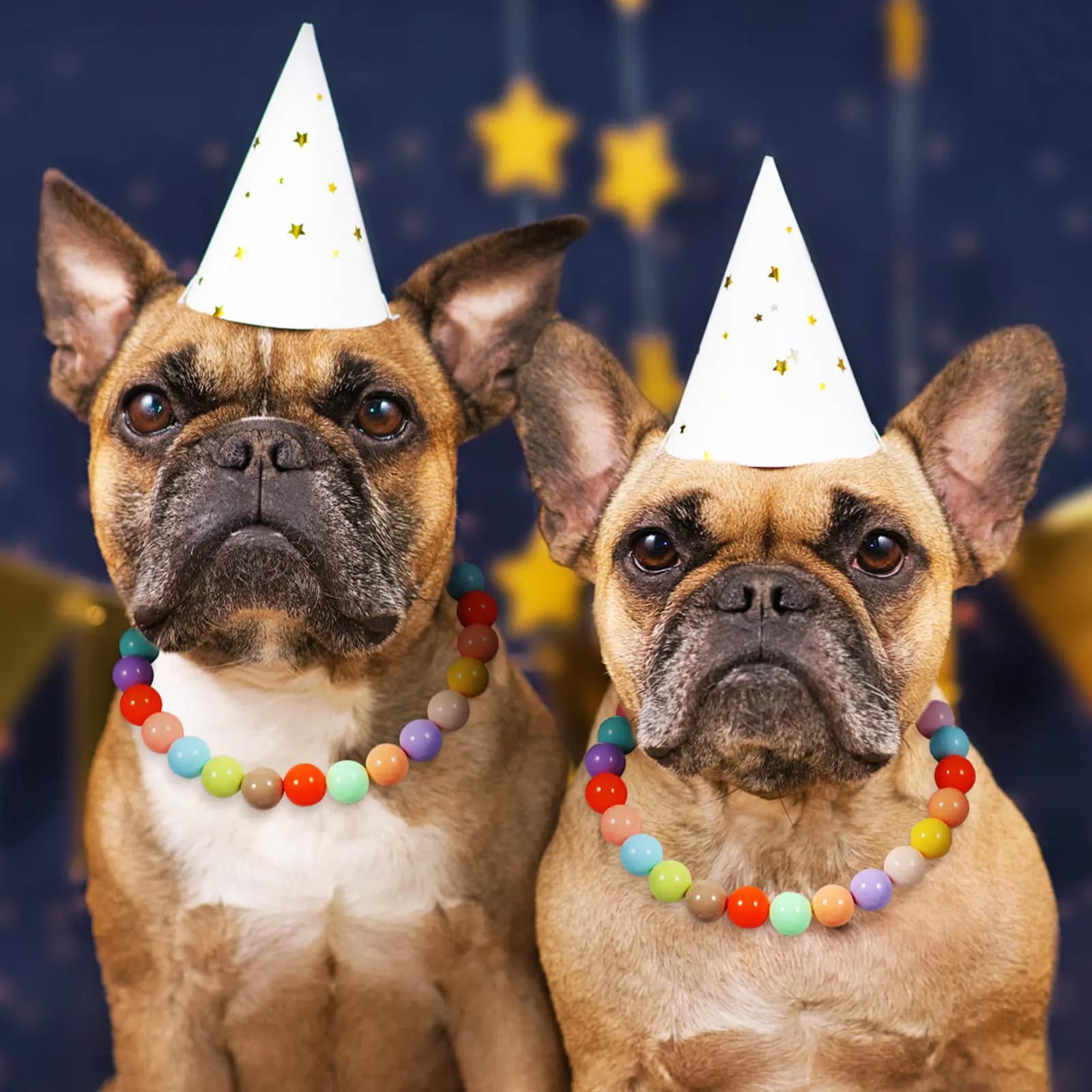 Collare per Cani Colorato, Regolabile, in Resina, Gioiello per Animali Domestici, Collana Carina per Cani Piccoli e Cuccioli, per Matrimoni e Feste
