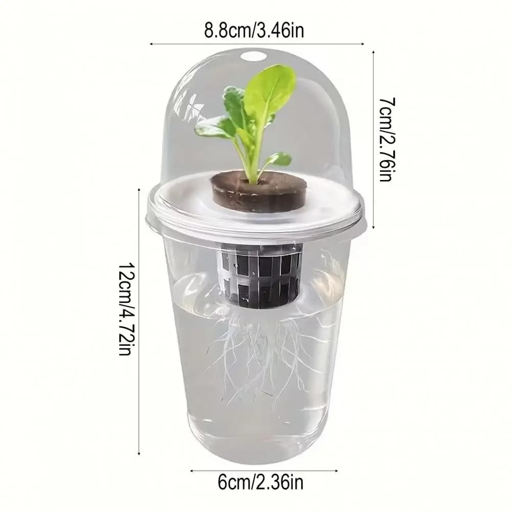 Kit of Propagation Hydroponic Plants, Transparent Cup for Germination Semi, Propagation Station for Succulent Plants