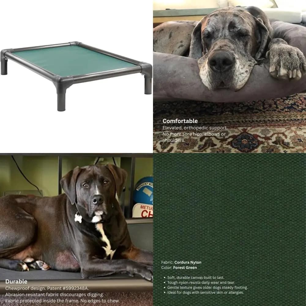 Cuccia rialzata per cani - PVC noce, 50x36, Nylon Cordura, Verde Foresta