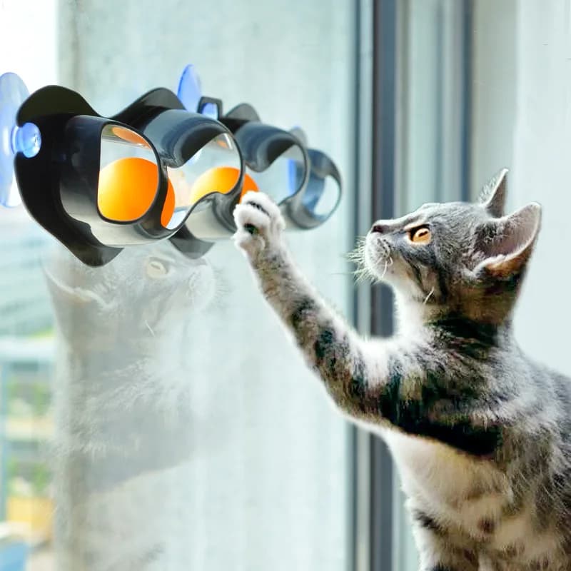 Ventosa di plastica Giocattolo per gatti Palla da pista Accessori per animali Finestra Ping pong Adsorbimento Giocattolo per gatti in vetro Fornitura di giocattoli educativi per gatti divertenti