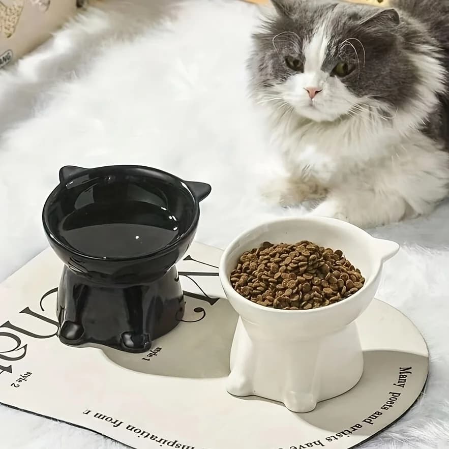 cat bowl,anti vomiting 15 degree tilted cat tray,stable base,not easy to overturn,pet drinking or food feeding station