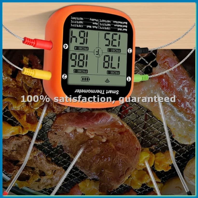 Termometro Wireless per Carne da Grigliata, Affumicatore e Forno, Termometro Digitale con App e Quattro Sonde, Termometro Intelligente per BBQ e Alimenti-A13G