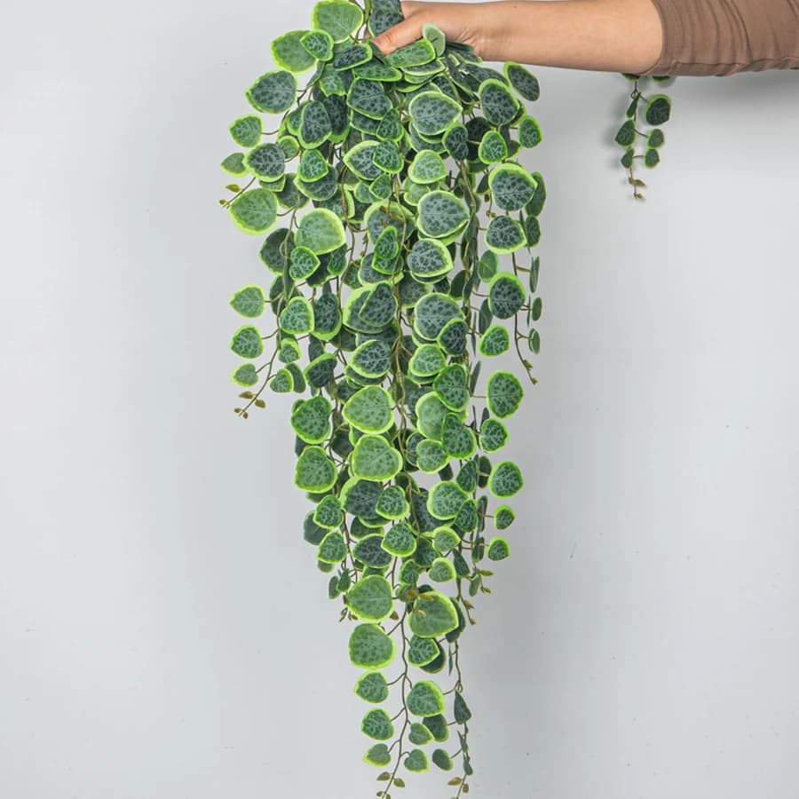 60-80 cm Artificial Appeals Faces Plants of Tropical Eucalyptus Sheets of Plastic Money Hanging in Rattan Wall for Home Garden Decoration