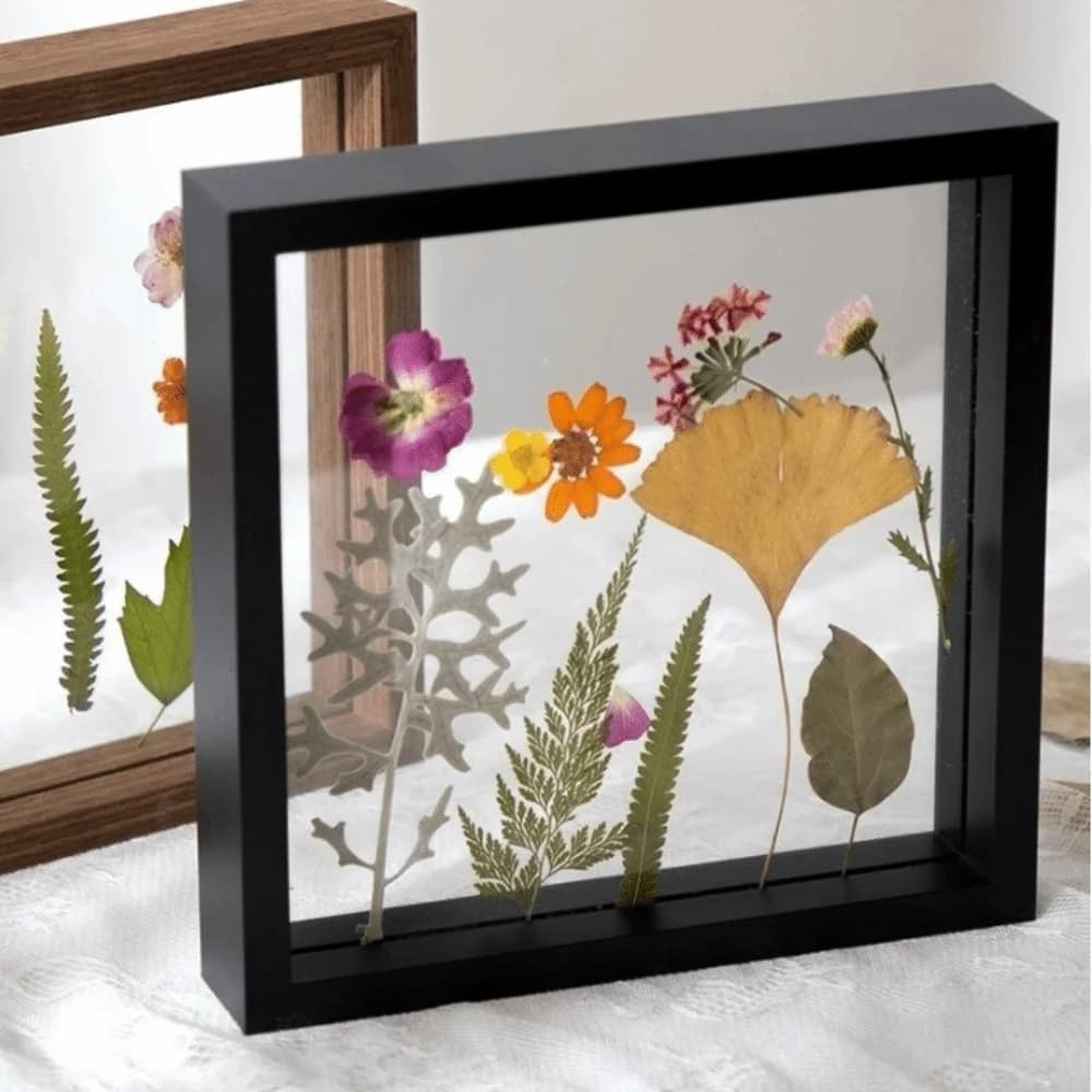 Double Side Glass Pressed Flower Frame Clip Design Black & Wood Color Picture Frame 6in/8in/10in Plant Specimen Frame