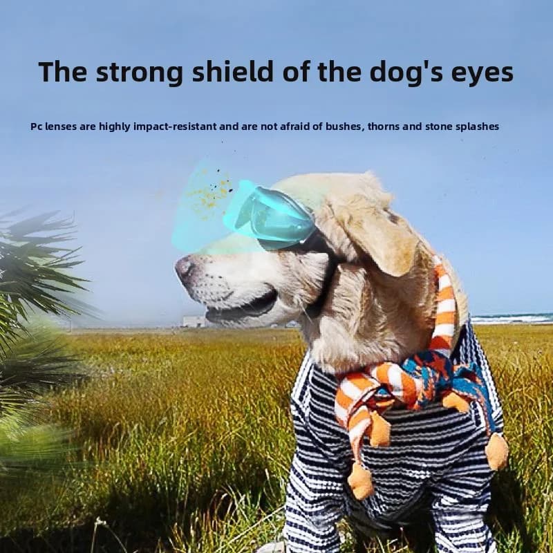 Dog Goggles Pet Sunglasses Windproof Eye Protection Glasses for Large Medium Small Dogs Outdoor