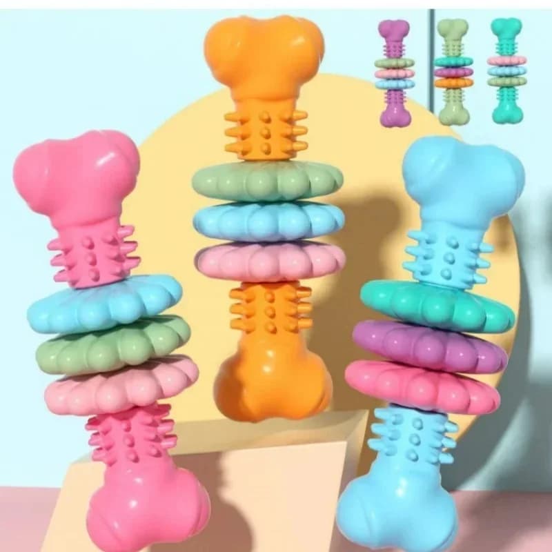 Giocattoli per animali domestici Masticare il cane Giocattoli per ossa carnose TPR Tipo di osso Pezzi multi-carne Set di giocattoli per denti resistenti ai morsi Forniture per giocattoli per ossa di cane